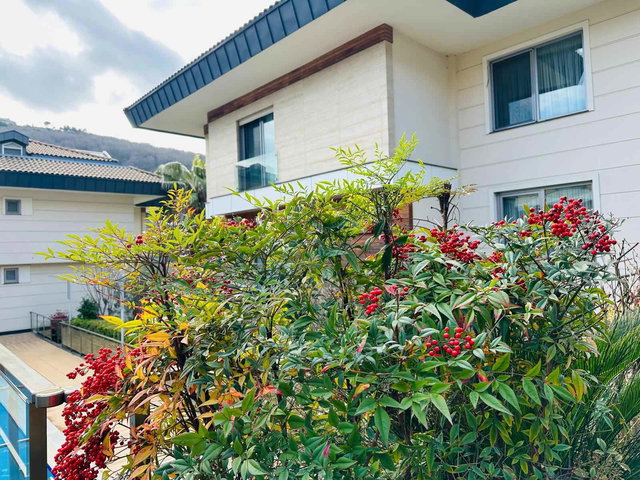 REMAX PRO TUĞBA SARIYER KONAKLARI ERGUVAN ÇATI DUBLEKS