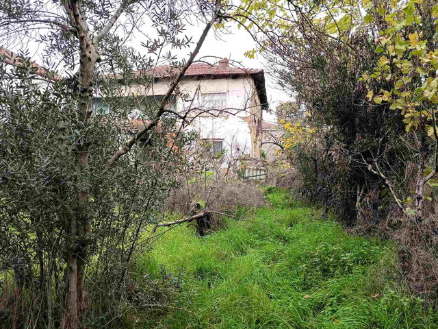 KENAN TÜRKMEN'DEN SAKARYA PAMUKOVADA 700M2 ARSA IÇINDE MÜSTAKIL EV