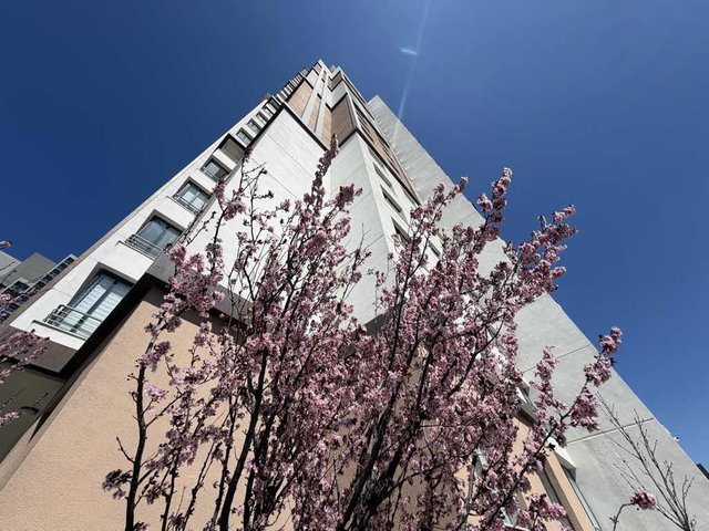 ANKA LİFE PRESTİJ KONUTLARI 4.5+1 KİRALIK KONFORLU DAİRE