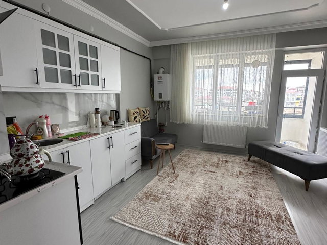 REMAX ARTIS'DEN DADAŞKENT'TE EŞYALI SATILIK 1+1 DAIRE
