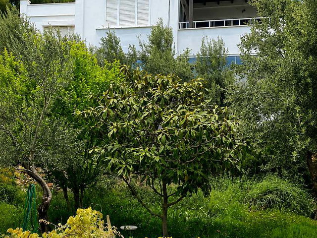 AFRODİT TATİL KÖYÜ’NDE DENİZ MANZARALI 3+1 SATILIK KONUT