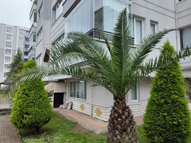 GÜNEYKENT SİTESİ'NDE BOZTEPE MANZARALI, 3 CEPHELİ, GENİŞ 3+1
