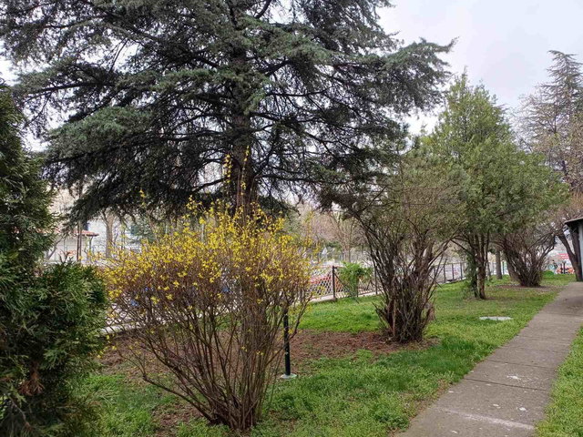 SEÇİL SİTESİ'NDE BOŞ 3+1 DAİRE