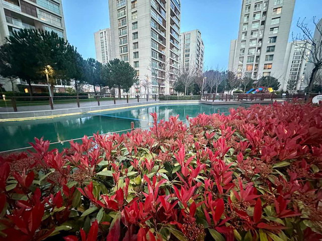 RESİM İSTANBULDA HARİKA DEKORASYONLU FIRSAT DAİRE