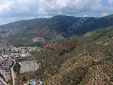 ALTINOLUK PLAJA 200M SATILIK TRİPLEX VİLLA