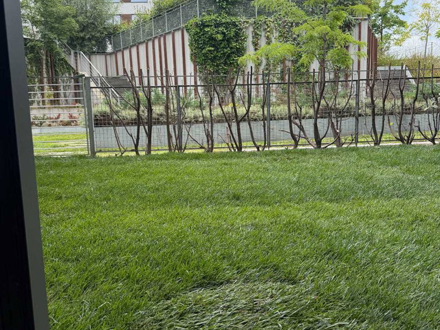 KÖY ZEKERİYAKÖY 2.ETAP 1+1 BAHÇELİ KİRALIK DAİRE