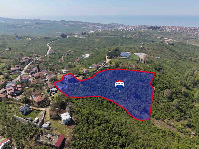 REMAX DİA'DAN AKÇAKOCA KEPENÇ'TE YATIRIMLIK ÇİFTLİK EVİ (FINDIK)