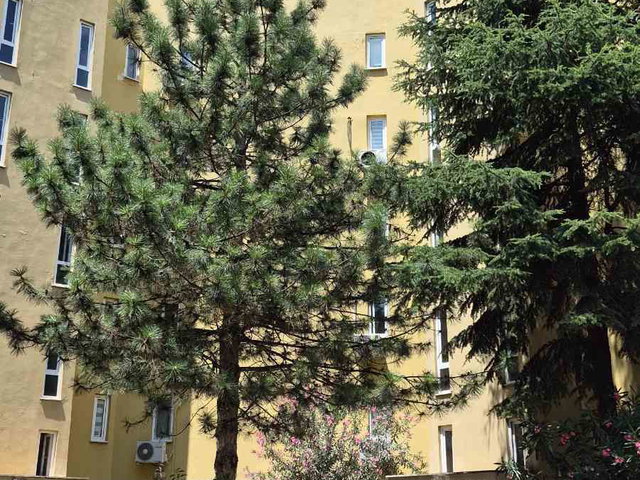 REMAX ADVANTAGE DEN FSM BULVARI YANI , KİRALIK 3+1  FIRSAT DAİRE