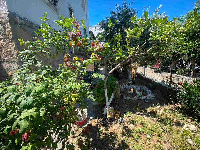 GÜMÜŞLÜK TE SATILIK SITE IÇI MÜSTAKIL VILLA 3+1