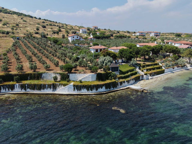 EKINLIK ADASI'NDA DENIZE SIFIR 2 VILLA VE 5.000 M² ZEYTINLIK