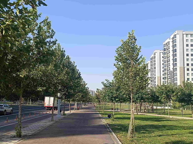 W.TOWN AVM ÇARPRAZI TEPE CITY’DE 230 M² 4,5+1 AKILLI LÜKS DAİRE