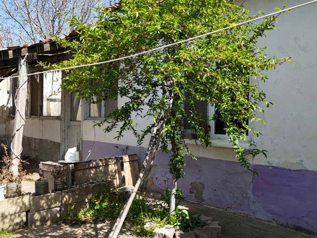 AHMETBEY GÜNDOĞU’DA 367 M² MÜSTAKİL PARSELDE 2+1 MÜSTAKİL EV | BOŞ & TAPULU