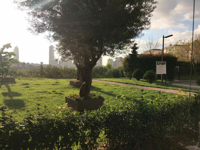 AĞAOĞLU MY TOWERLAND 3377-3 ADA KIRALIK 2+1 BOŞ DAIRE