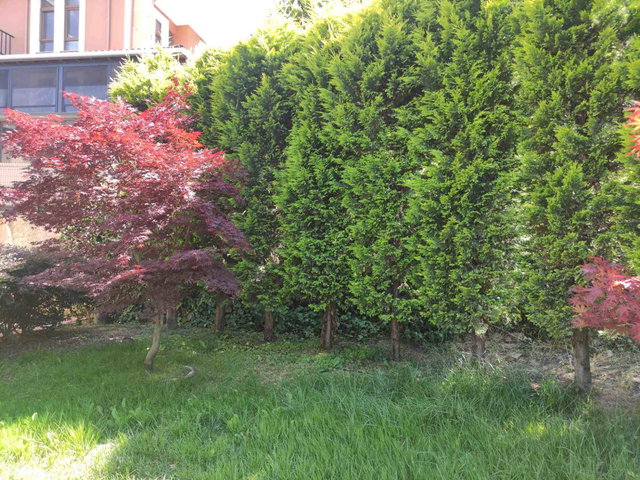 BAŞİSKELE DÖNGEL’DE ÜNİKENT KARŞIYAKA EVLERİ’NDE 510 M² BRÜT 4+1, 3 KATLI SATILIK VİLLA