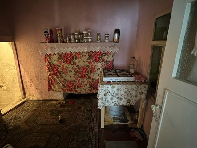 REMAX PIN'DEN AYDIN KOÇARLI TİMİNCİLER MAHALLESİ'NDE SATILIK MÜSTAKİL EV