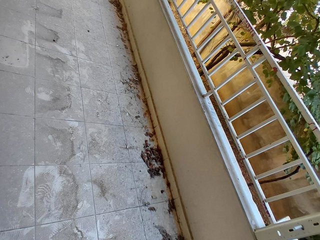 ÖZALPER MAH.’DE GİRİŞ KAT 3+1 | 150 M² NET | 2 BANYO | BALKONLU KİRALIK DAİRE