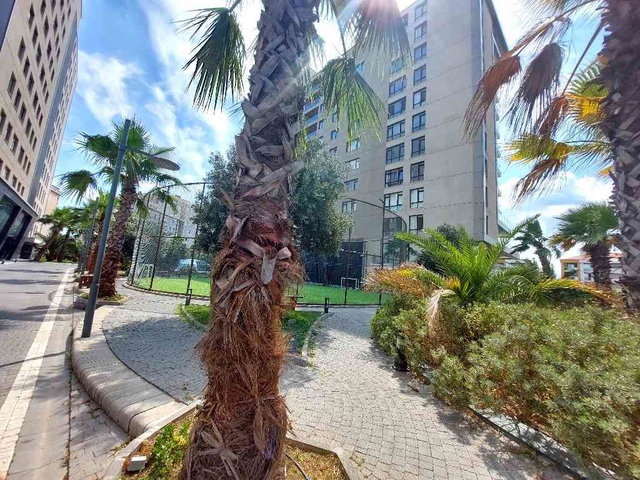 BEYLİKDÜZÜ AZUR MARMARA'DA 3+1

ÇİFT CEPHE BÜYÜK TİP SATILIK DAİRE ​