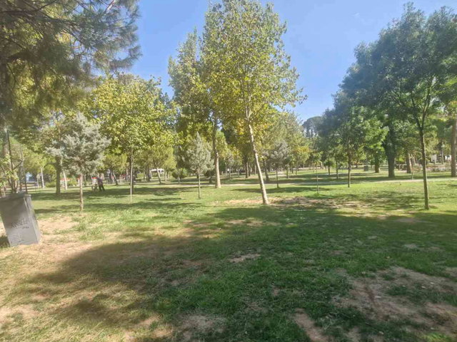 BUCA HASANAĞA PARKI YAN SOKAĞI KIRALIK 1+1 DAIRE  KIRALIK DAIRE  60 M²  1 + 1