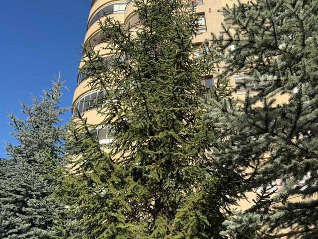 YAŞAMKENT BASIN KULÜP EVLERİ'NDE SATILIK 4+1 DAİRE