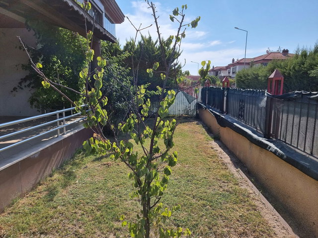 SASALI UZMANINDAN BILGE KONAKLARINDA 5+1 KIRALIK VILLA