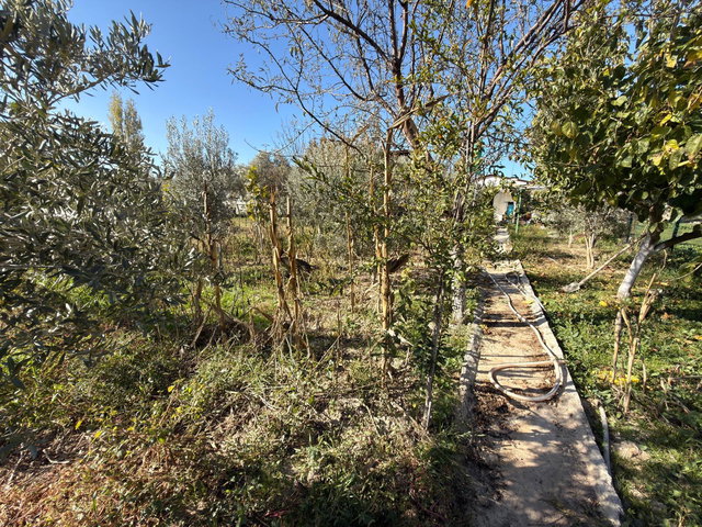 DİDİM’DE 500 M² BRÜT ALANLI, 3+1, 2020 YAPIMI, 4 CEPHELİ SATILIK VİLLA