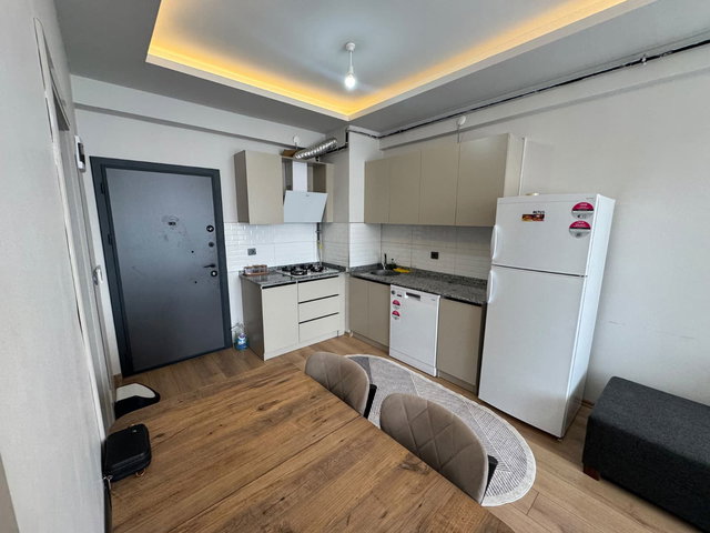 REMAX ARTIS'TEN DADAŞKENT'DE KIRALIK 1+1 DAIRE