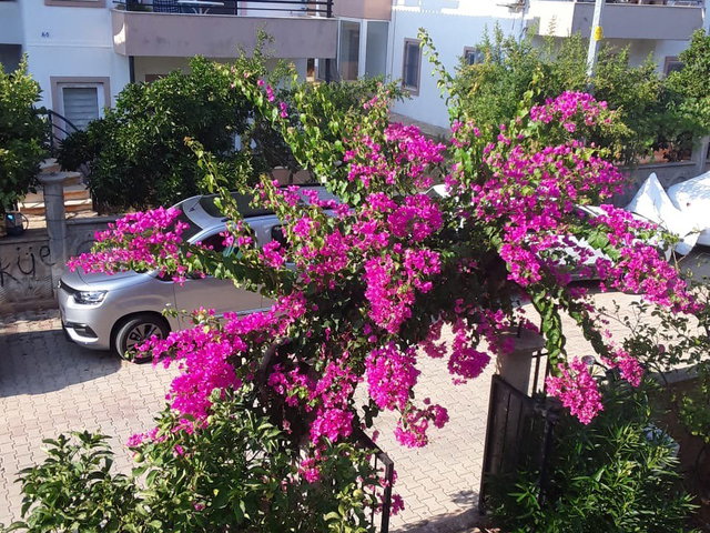 KAŞ ÇERÇİLER MAHALLESİ’NDE SATILIK 2+1 DUBLEKS DAİRE – YÜKSEK YATIRIM DEĞERİ