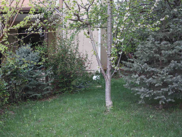 ADIYAMAN YENIMAHALLE KIRALIK 6+2 TRIPLEKS VILLA
