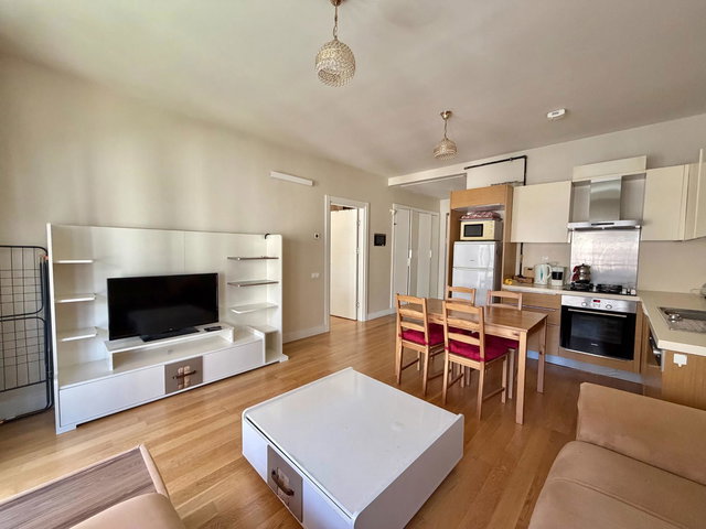SİNPAŞ ALTINORAN DA GÖL MANZARALI EŞYALI KİRALIK 1+1 DAİRE
