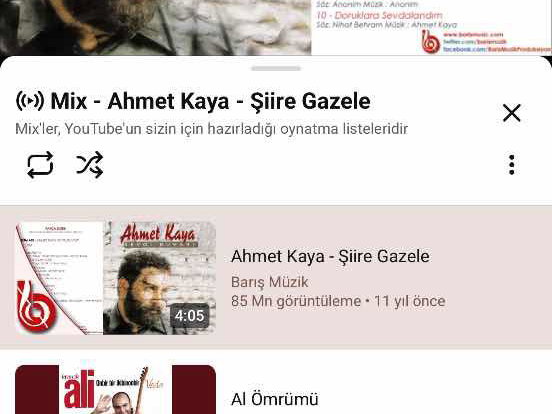 REMAX DEM'DEN IŞIKPINAR' DA 1000 M2 ARSA İÇİNDE SATILIK VİLLA