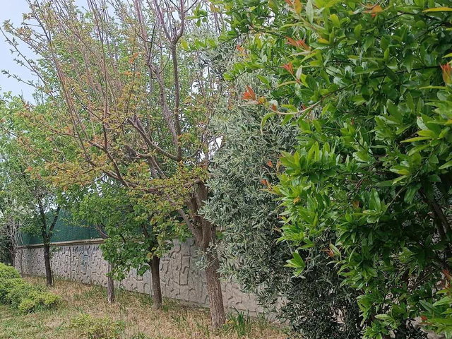 KUŞÇULARDA 500 M² ARSA PAYLI, ÖZEL BAHÇELI 3,5+1 VILLA