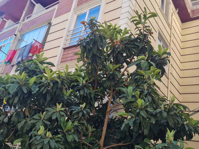 İSTANBUL BAĞCILAR GÜNEŞLİ'DE 3+1 SATILIK DUBLEKS DAİRE