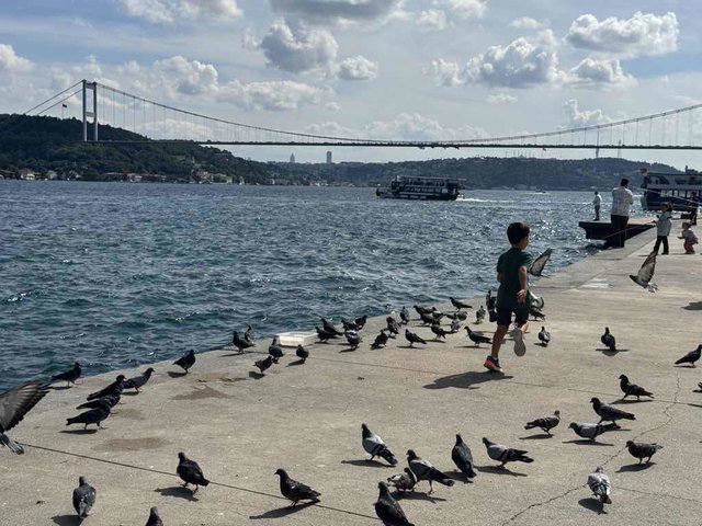EMİRGAN BOĞAZ MANZARALI KATTA TEK 3+1 SATILIK DAİRE