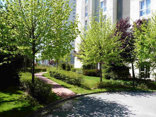 ATAŞEHIR AĞAOĞLU STARLAND 138 M2 ARA KAT KIRALIK 2+1 DAIRE