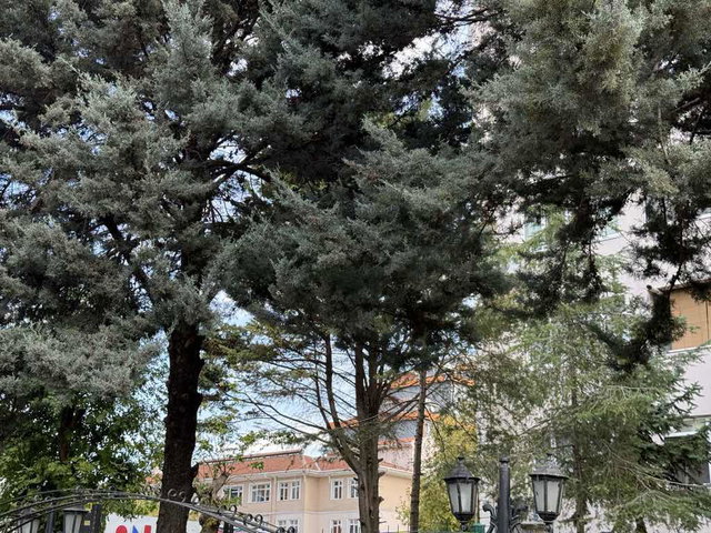 REMAX ALYADAN BEYLİKDÜZÜ BARIŞ MAH.BEKTEK SİTESİ SATILIK 3+1 DAİRE