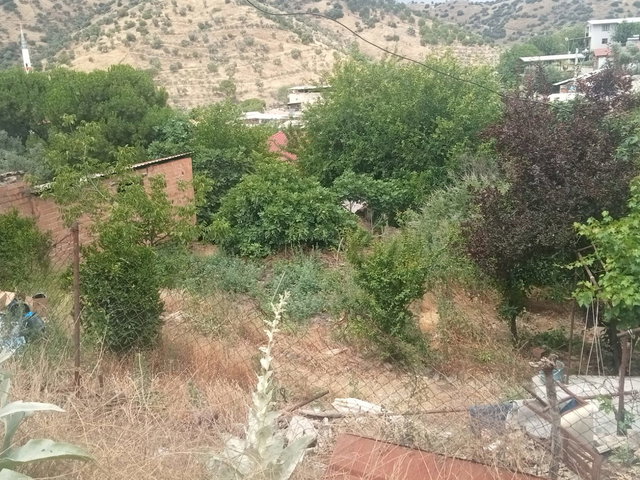 REMAX PİN'DEN AYDIN KOÇARLI CİNCİN’DE DOĞAYLA İÇ İÇE YENİ FIRSAT!