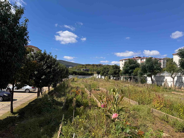 PENDİK YENİŞEHİR ZİN D NATURA'DA EŞYALI KİRALIK 1+1 DAİRE  I KAPALI OTOPARK I HOBİ BAHÇESİ
