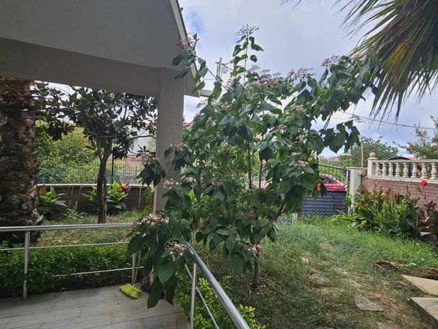 ŞİLE SAHİLKÖYDE SATILIK MÜSTAKİL HAVUZLU TRİPLEKS VİLLA 300 M2