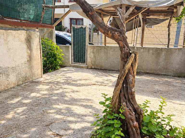 BEYKOZ İNCİRKÖY’DE BAHÇELİ, DENİZ MANZARALI KİRALIK DAİRE