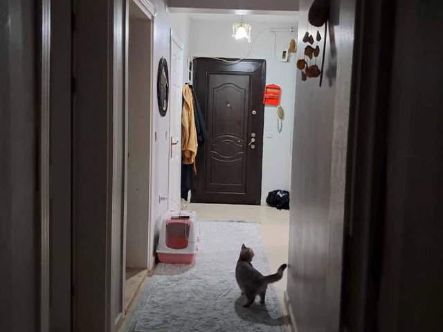 TOKİ TUZLA 3. ETAP’TA GÜNEY-BATI CEPHELİ 2+1 | BALKONLU | KREDİYE UYGUN