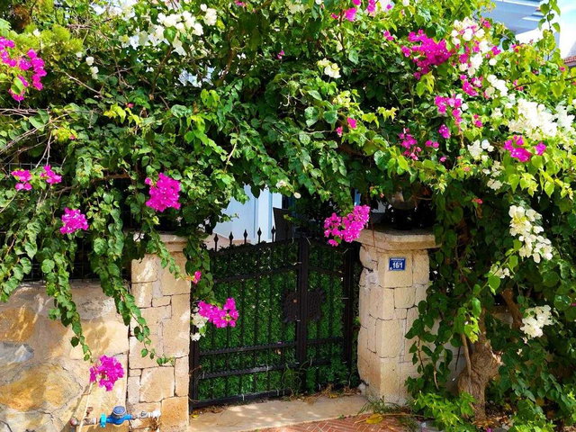ALAÇATI ÇAMLIKYOL PARALELİNDE 2+1 MÜSTAKİL BAHÇELİ SATILIK VİLLA