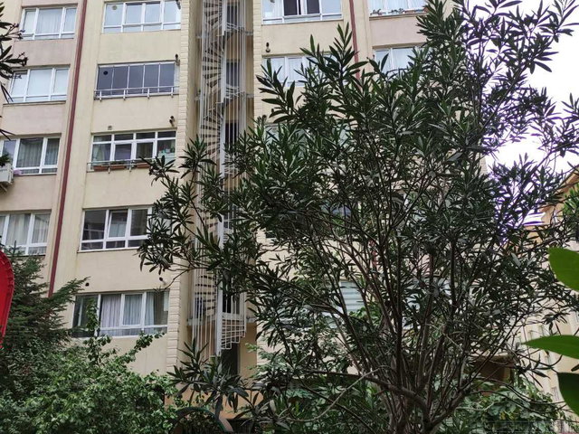 GEBZE YENİKENT TE SATILIK 3*1 YENİLENMİŞ  ARA KAT DAİRE