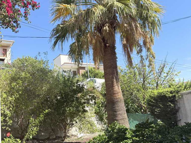 ÇEŞME’DE EŞYALI 4+1 BAHÇE KATI VİLLA | 319 M² BRÜT | KREDİYE UYGUN