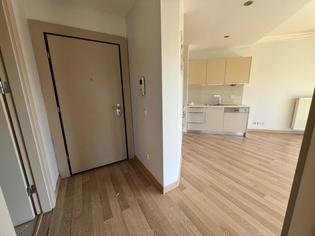 TUZLA EVORA A PARSEL 72 M2 1+1 M2 KİRALIK BOŞ DAİRE