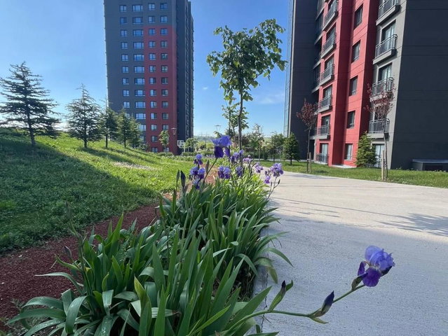 FERCE 2+1 KİRALIK DAİRE