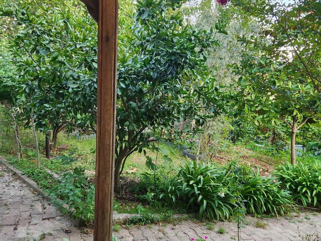 REMAX MASA GÜVENCESİYLE BEYKOZ ELMALI MAHALLESİ GENİŞ BAHÇELİ SATILIK VİLLA