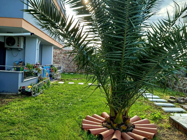 DİKİLİ'DE DENİZ, ORMAN VE ŞEHİR MANZARALI, 45 M² TERASLI ÖZEL KİRALIK DAİRE