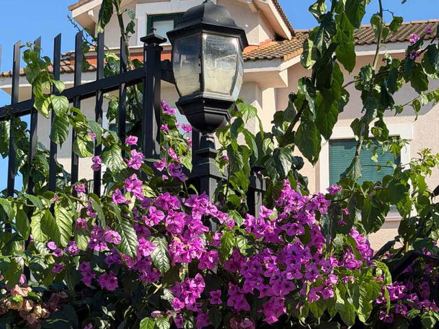 BEYKOZ RIVA’DA ÖZEL HAVUZLU, KIŞ BAHÇELI, 6+2 LÜKS VILLA