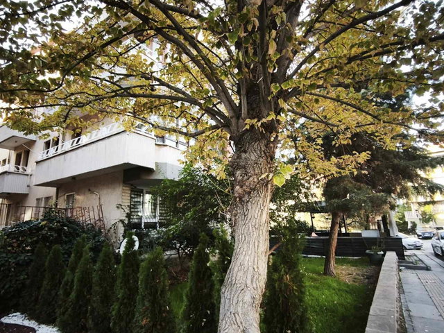 AŞAĞI ÖVEÇLERDE, 1330.CADDEDE, MERKEZİ KONUMDA 2+1 FIRSAT DAİRE