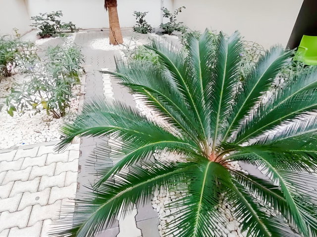 Karşıyaka Dedebaşı fırsat Kiralık 2+1 (Depozito yok)